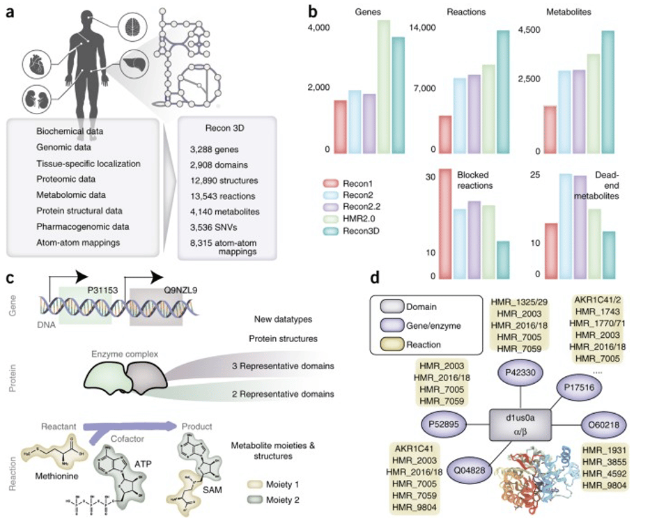 Informazioni contenute in Recon3D-Credits: Nature Biotechnology.
