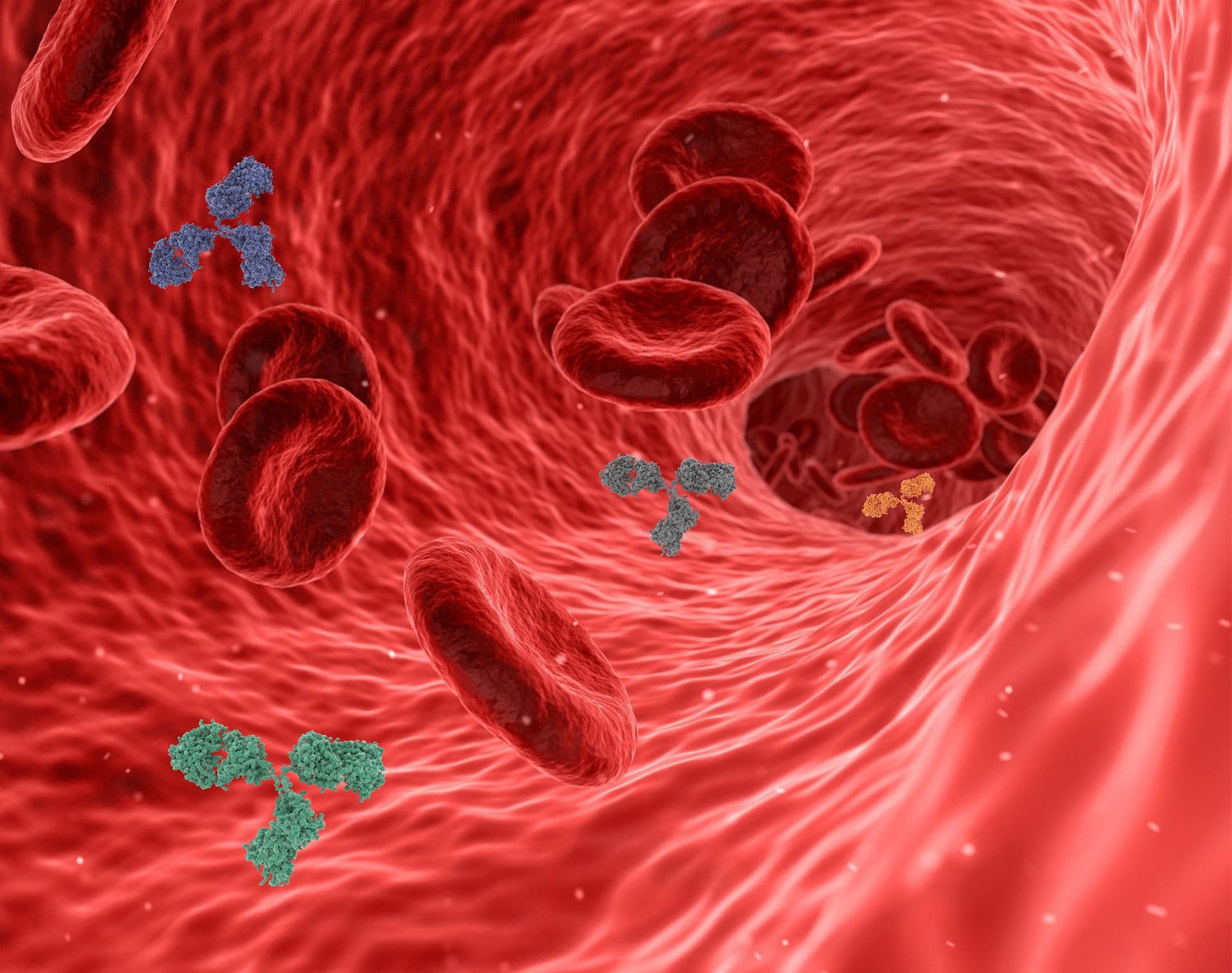 Immunoistochimica