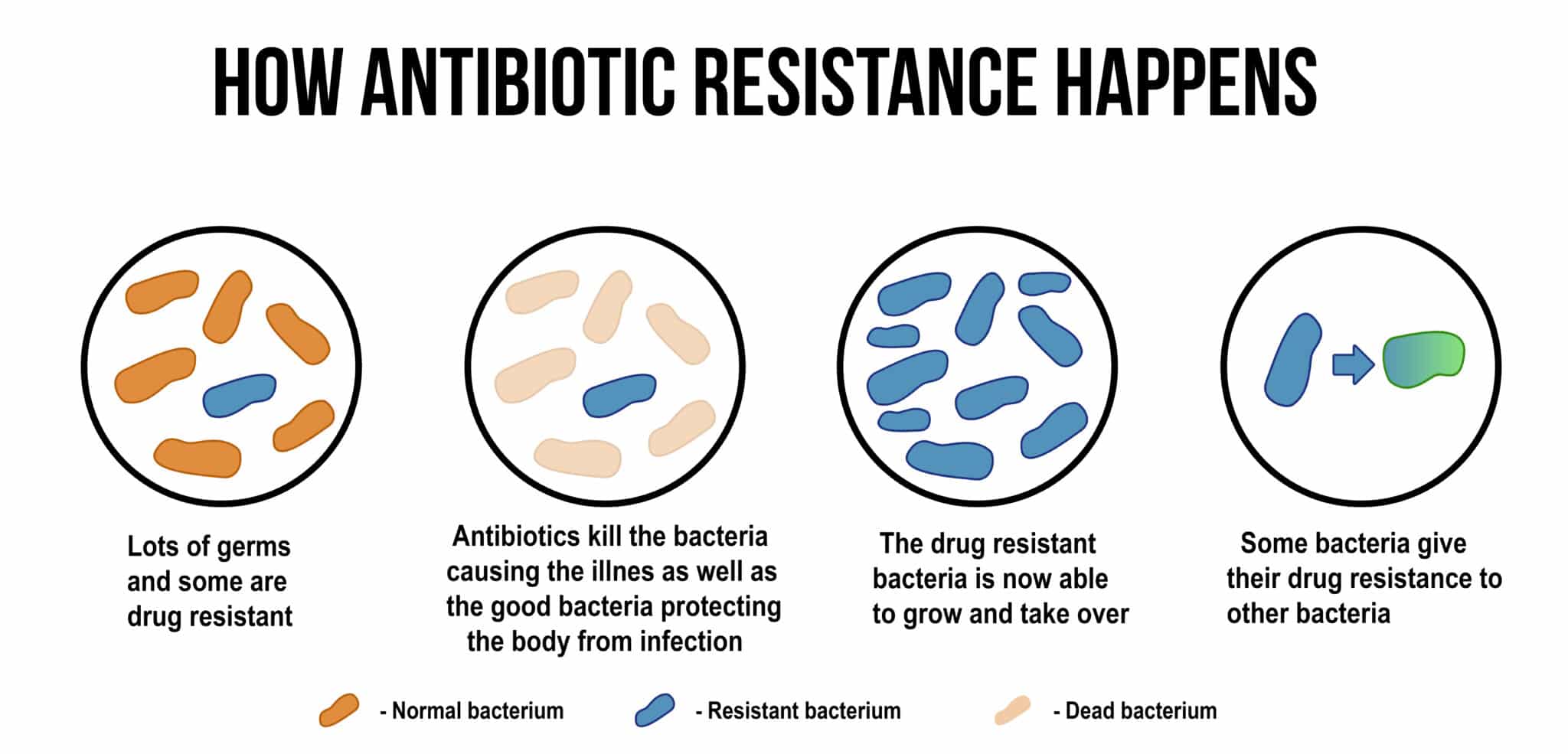 resistenza antibiotici
