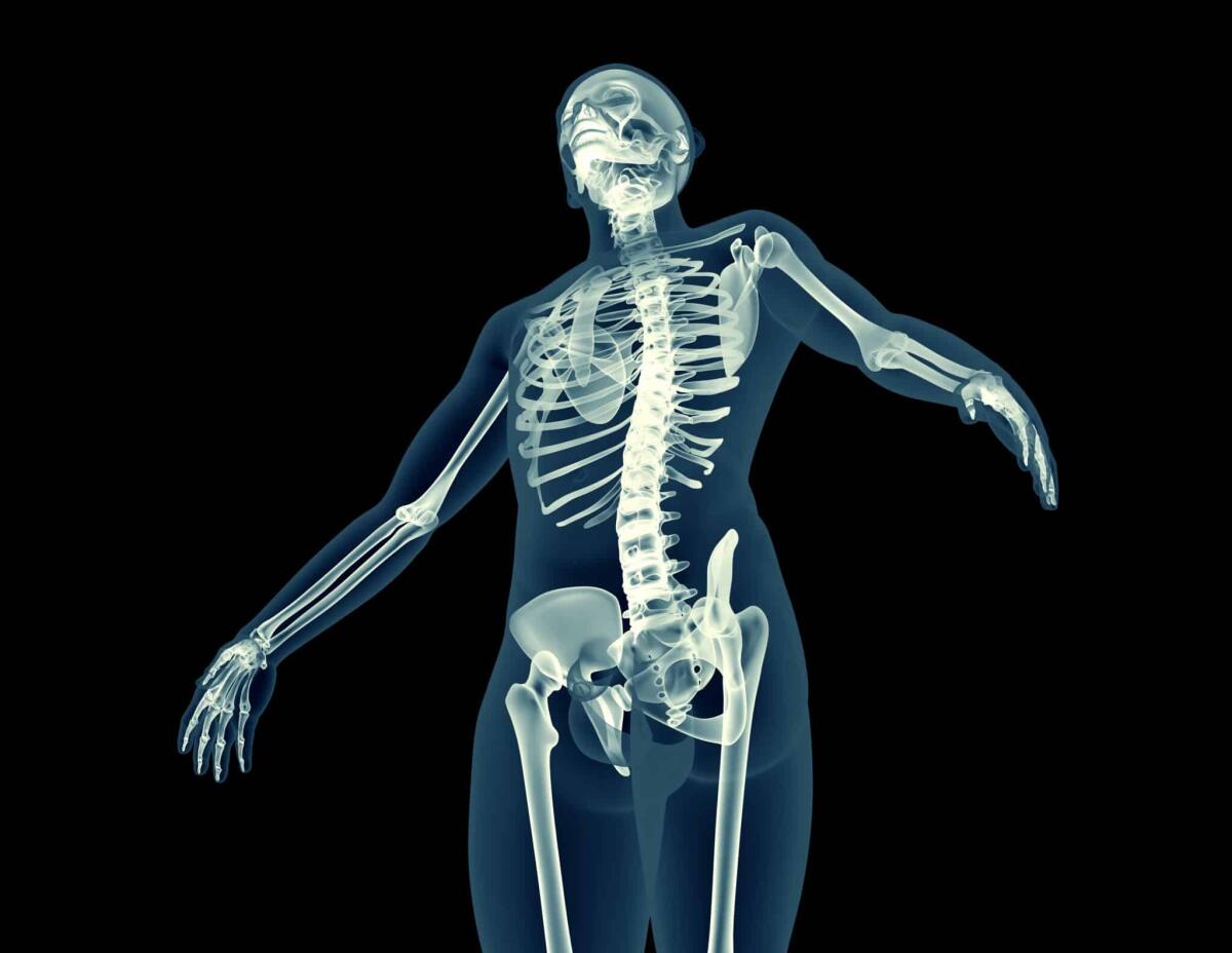 Tumore delle ossa: uno studio ne permetterebbe la diagnosi - x-ray image of a human body