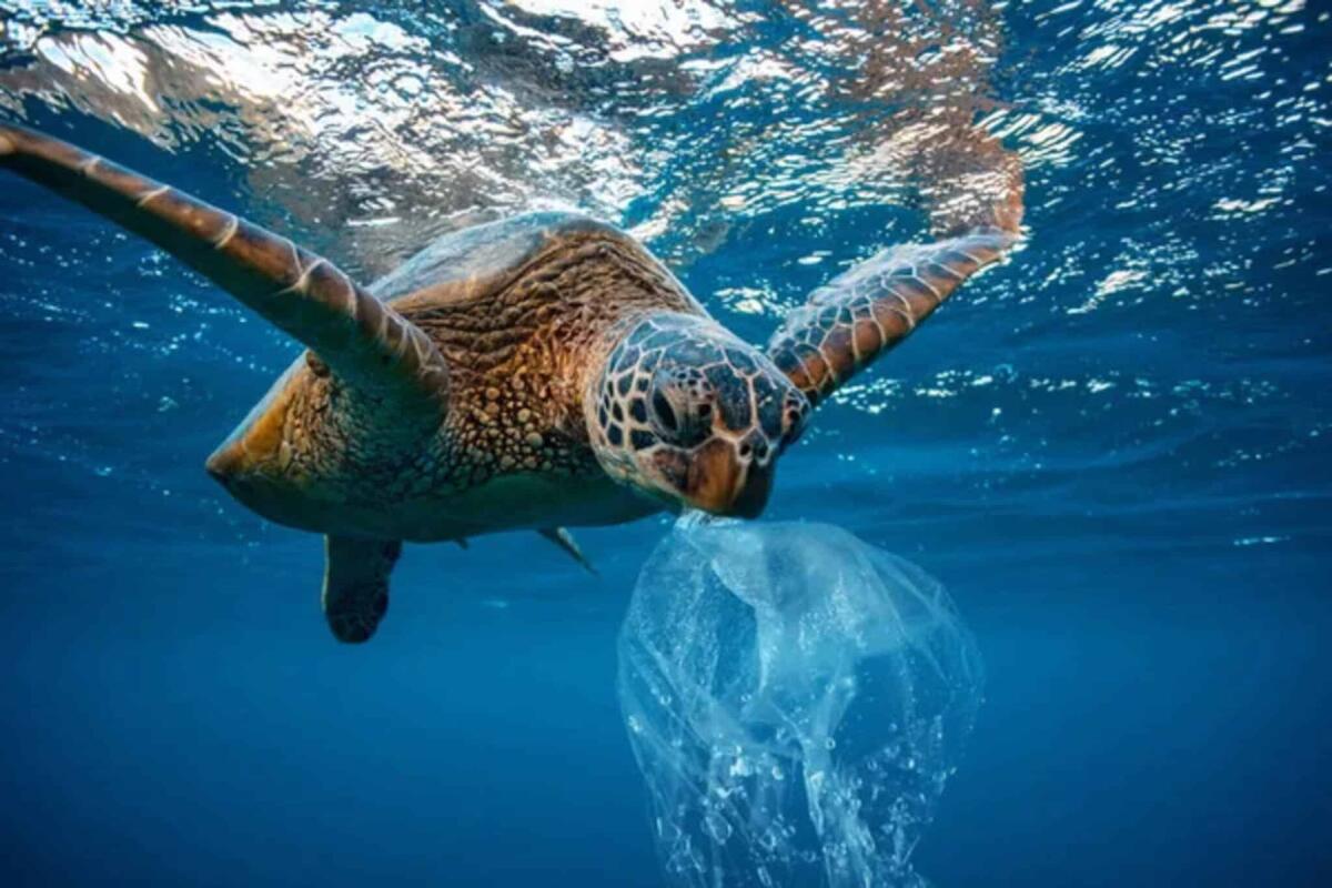 Mediterraneo, emergenza rifiuti: è un mare di plastica - Depositphotos