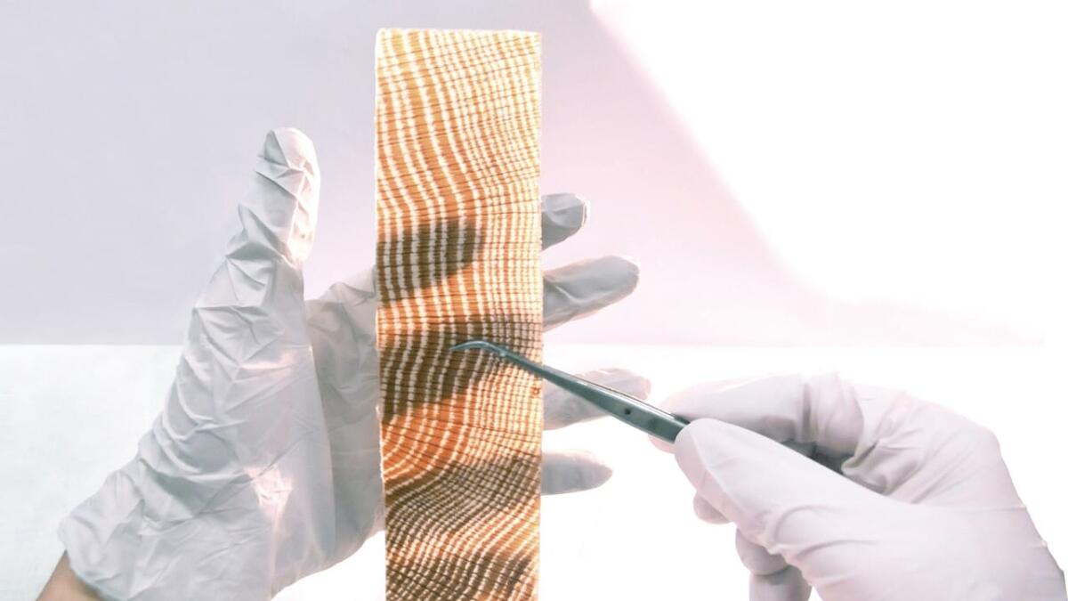 Augmented wood: il legno smart per l’edilizia a tuttotondo - Augmented wood