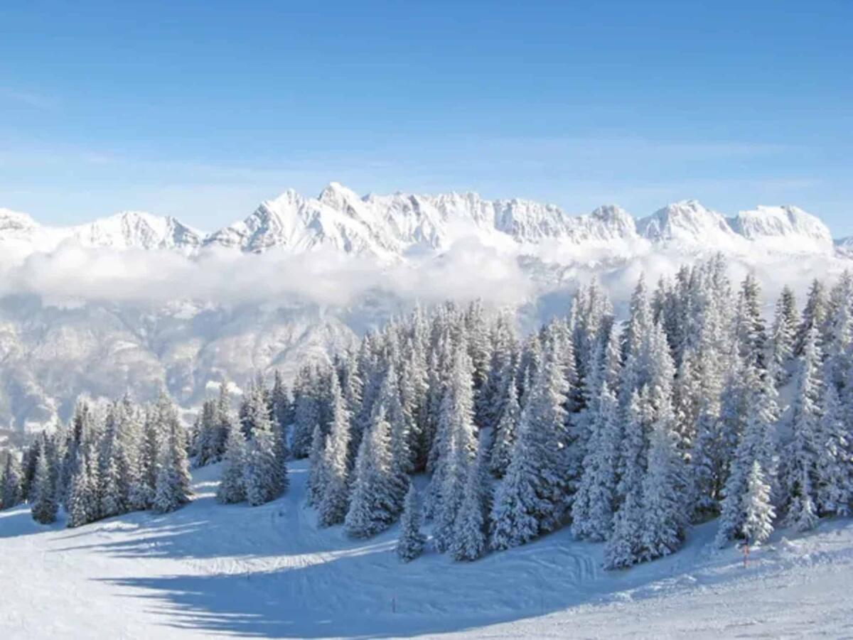 Neve sulle Alpi: negli ultimi 600 anni non è mai stata così poca - Depositphotos