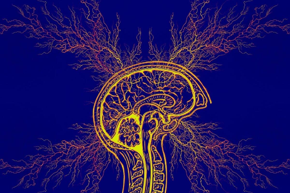 Epilessia, farmaci e trattamento: il punto della situazione - 