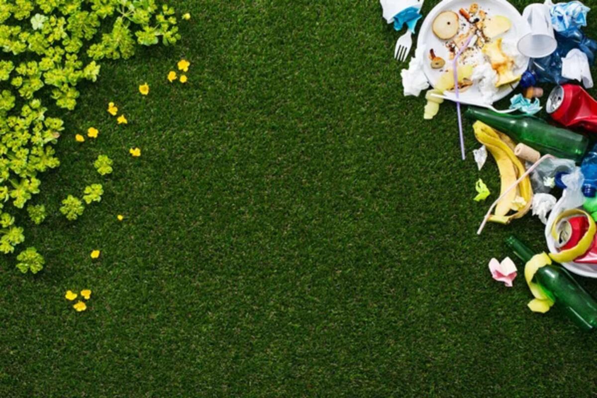 Plastica biodegradabile, può essere prodotta con la luce solare - 