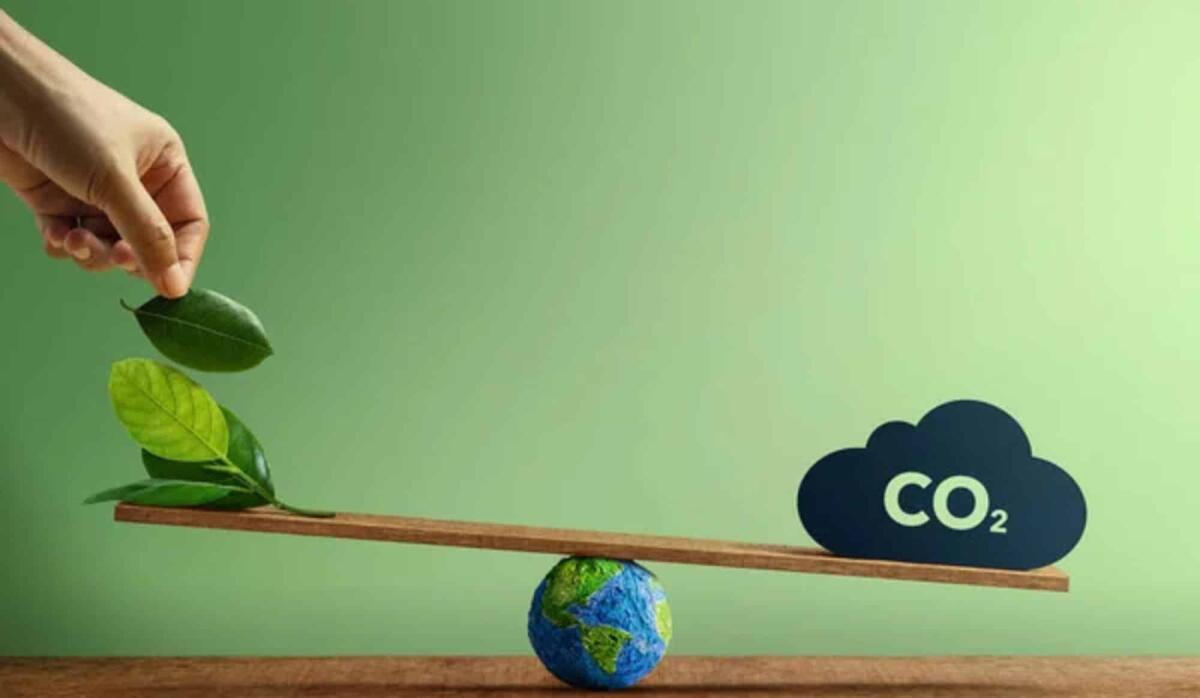 Aziende e sostenibilità: l'importanza di investire nella neutralità carbonica - 