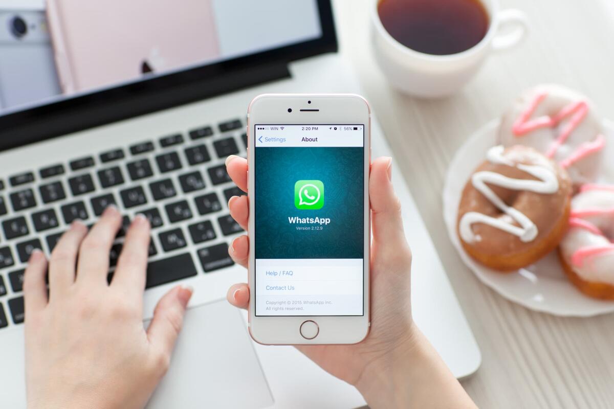 WhatsApp non funzionerà su 49 modelli di smartphone: ecco quali - Alushta, Russia - October 29, 2015: Woman holding iPhone6S Rose Gold with social networking service WhatsApp on the screen. iPhone 6S Rose Gold was created and developed by the Apple inc.