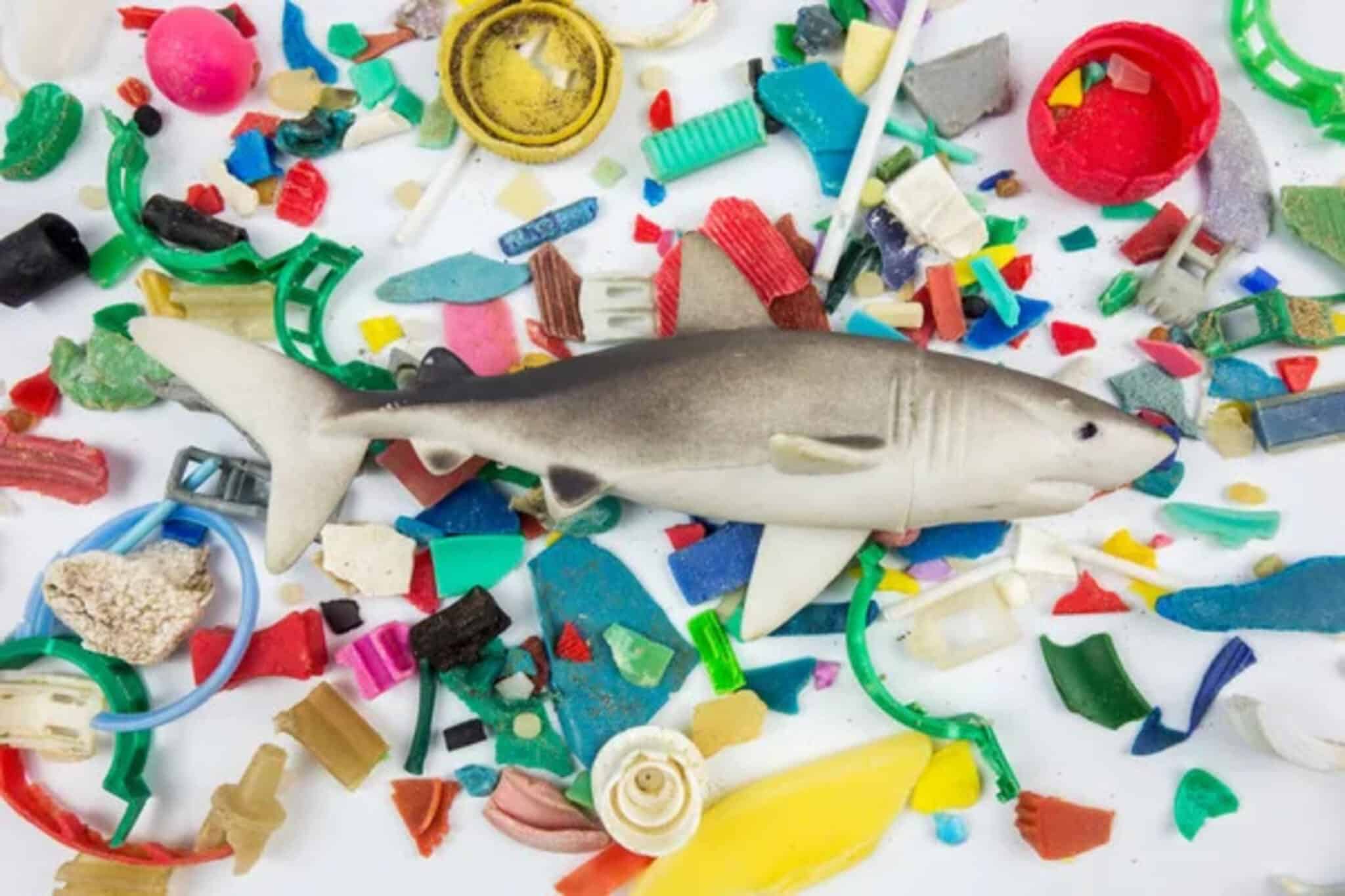 Microplastiche: cosa sono, dove si trovano e perché sono pericolose
