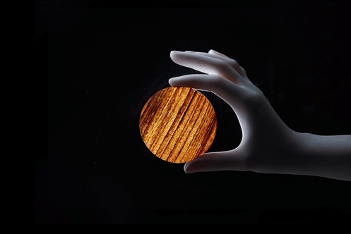 Dense wood. Credits: Abbanews
