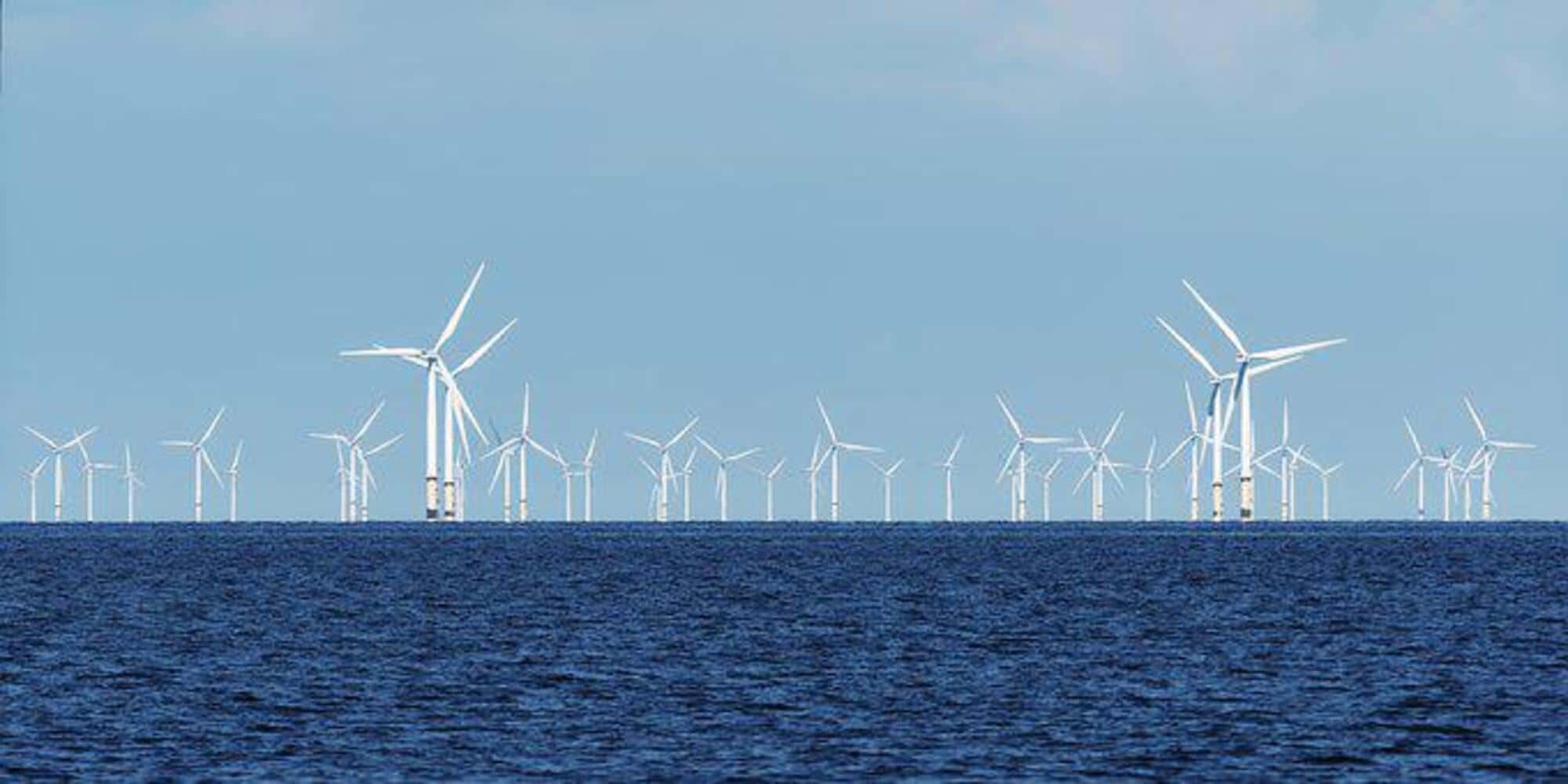 Impianto eolico offshore. Fonte: Pixabay