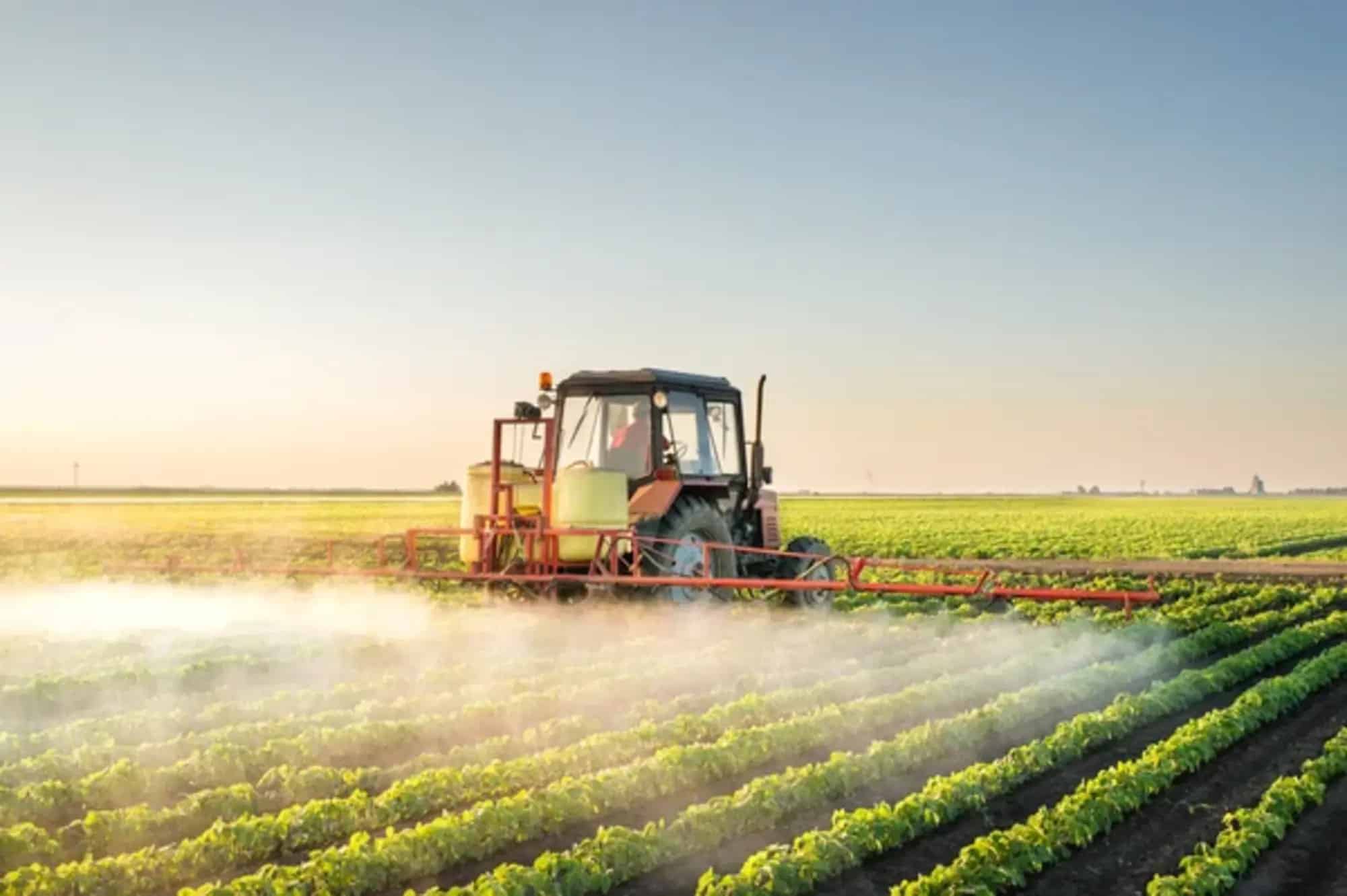 Cambiamento climatico, in che modo incide sull'agricoltura?