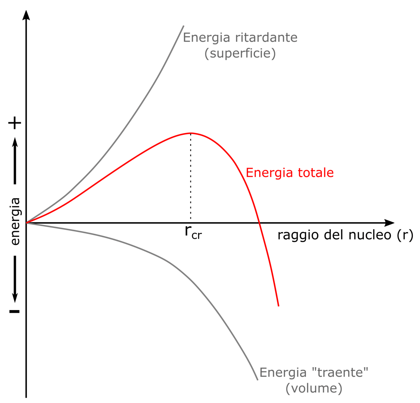 Rappresentando l’energia totale – ovvero la somma fra l’energia ritardante e quella “traente” – di un generico nucleo sferico all’aumentare della sua dimensione, vediamo che al nucleo non conviene crescere se la sua dimensione è più piccola del raggio cri