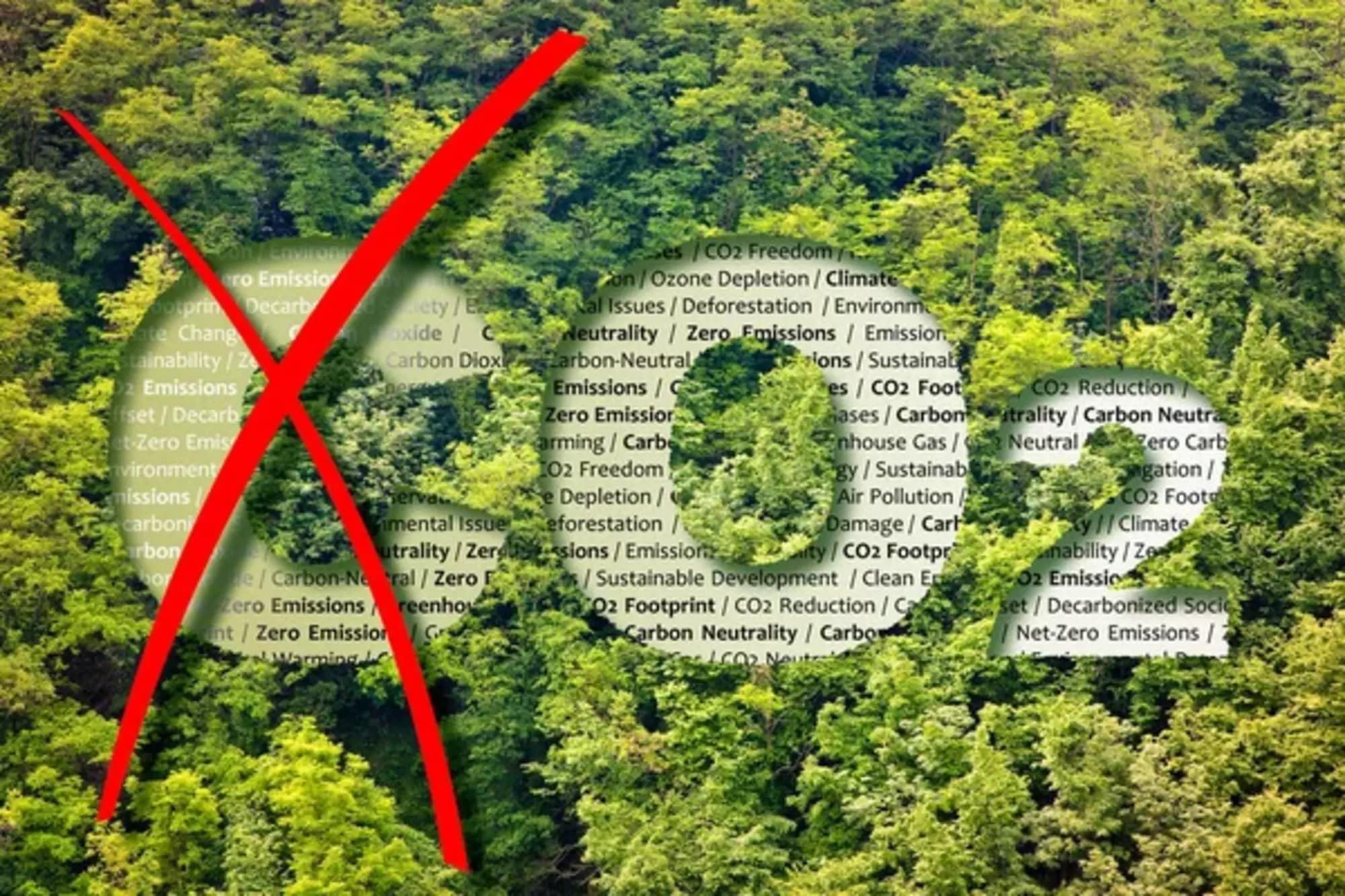 Aziende e sostenibilità: l'importanza di investire nella neutralità carbonica