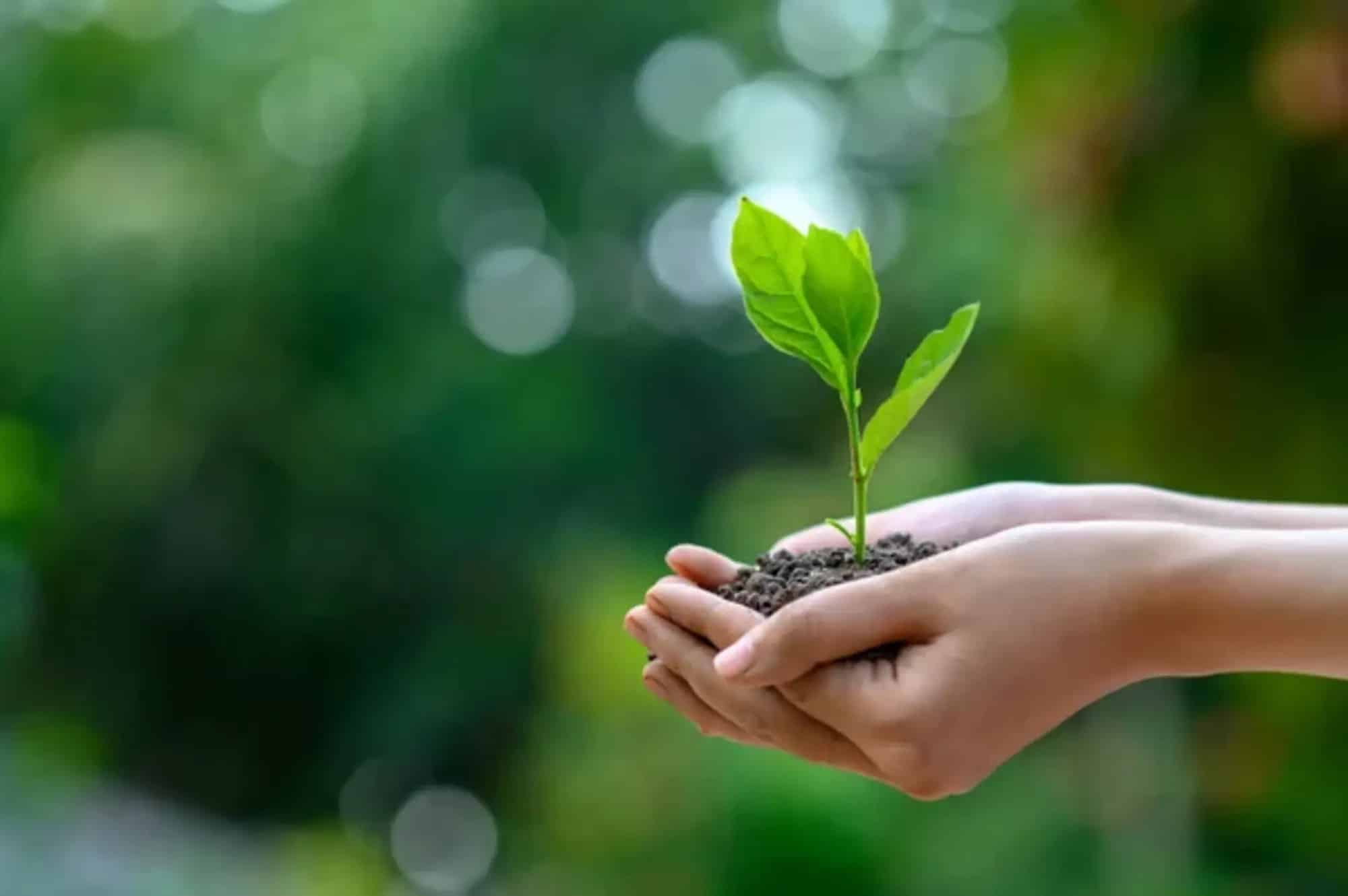 Agenda 2030 per lo sviluppo sostenibile: sempre aggiornati grazie a MyChange di ENI