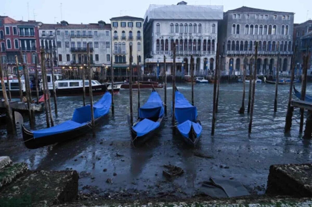 Bassa marea record a Venezia: canali prosciugati e gondole bloccate - 