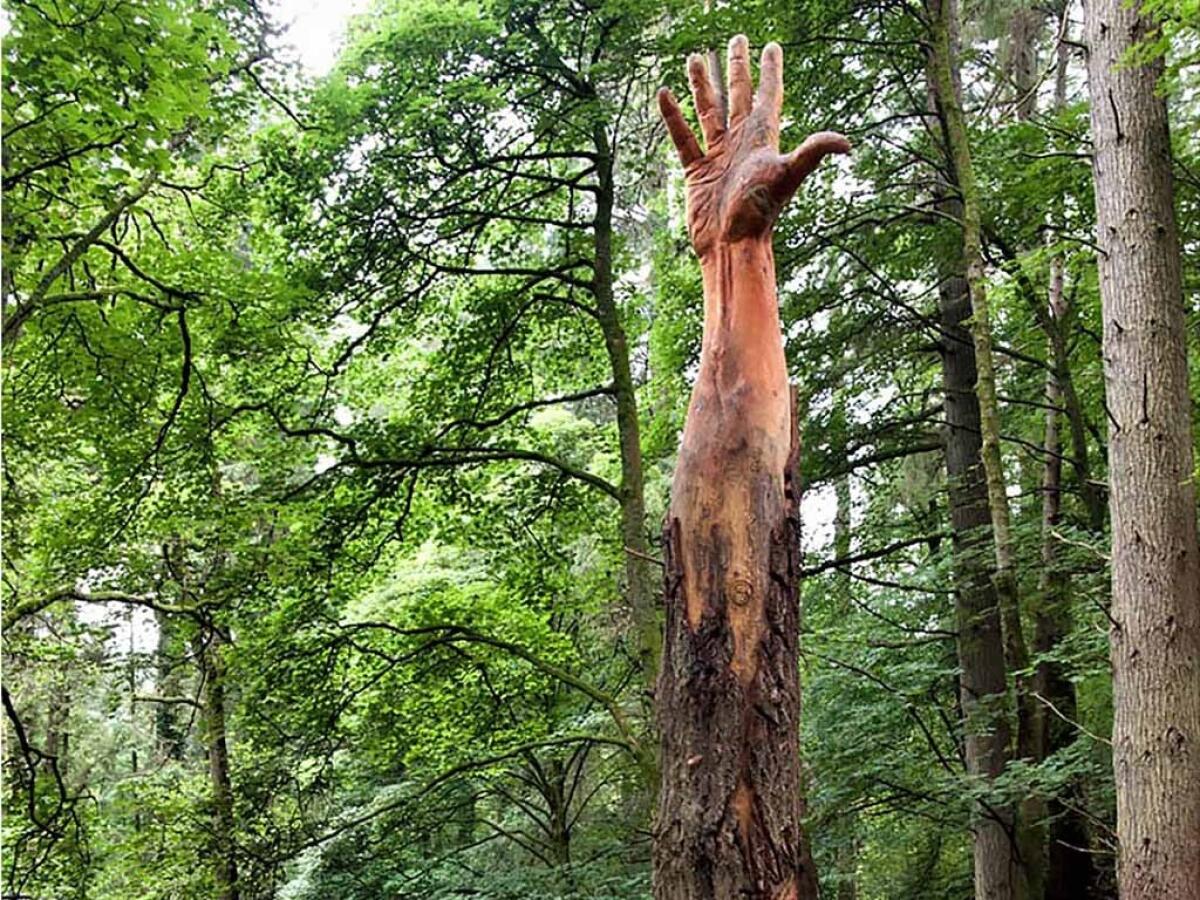 Tree carving, ecco l'artista del legno Simon O'Rourke - Simon O'Rourke