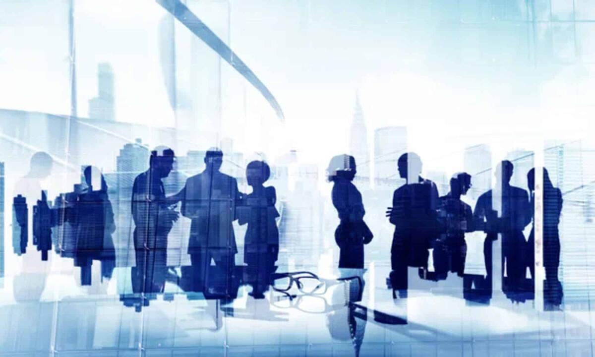 Quali sono gli obbiettivi e le principali attività che svolge il terzo settore - 