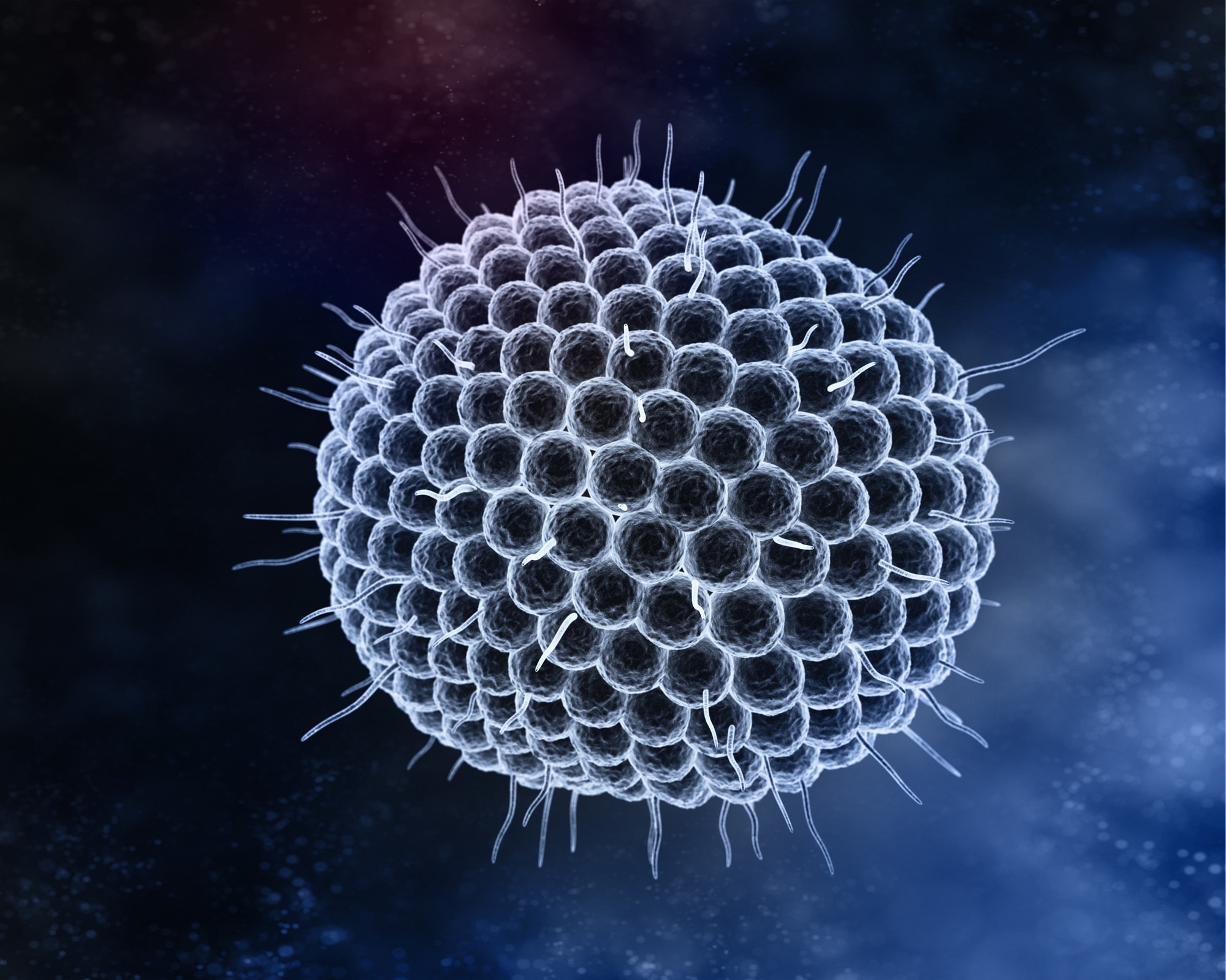Virus Varicella Zoster (VZV).