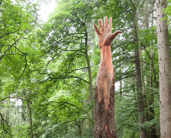 L’opera lignea di Simon O’Rourke Giant Hand of Vyrnwy. Credits: Treecarving.co.uk