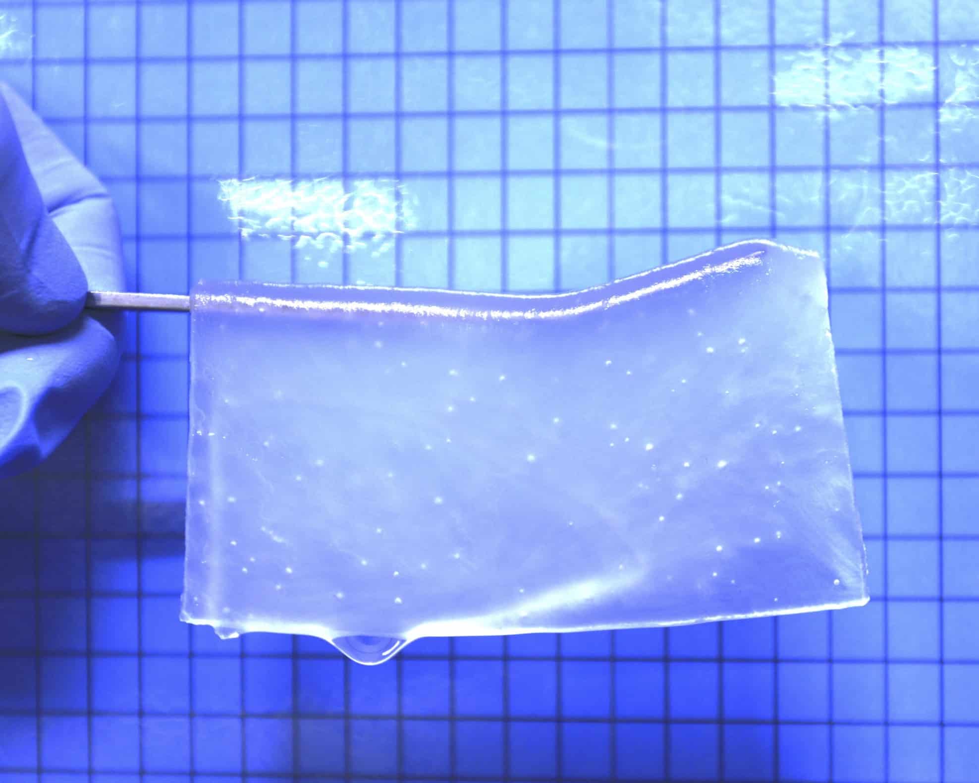 Hydrogel utilizzato nello studio in questione - Credits: Nature