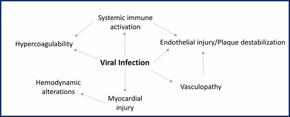 Schema dei potenziali meccanismi con cui le infezioni virali possono causare ictus ischemico - Credits: Stroke