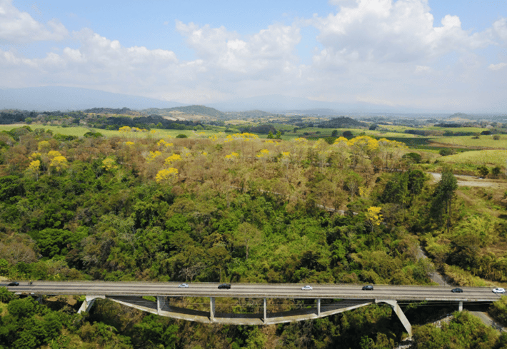 Rio Colorado Bridge. Credits: Jeorge Sanchez