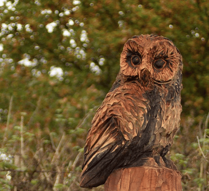Una delle opere del Sentiero delle sculutre di Meadow Park. Credits: Treecarving.co.uk