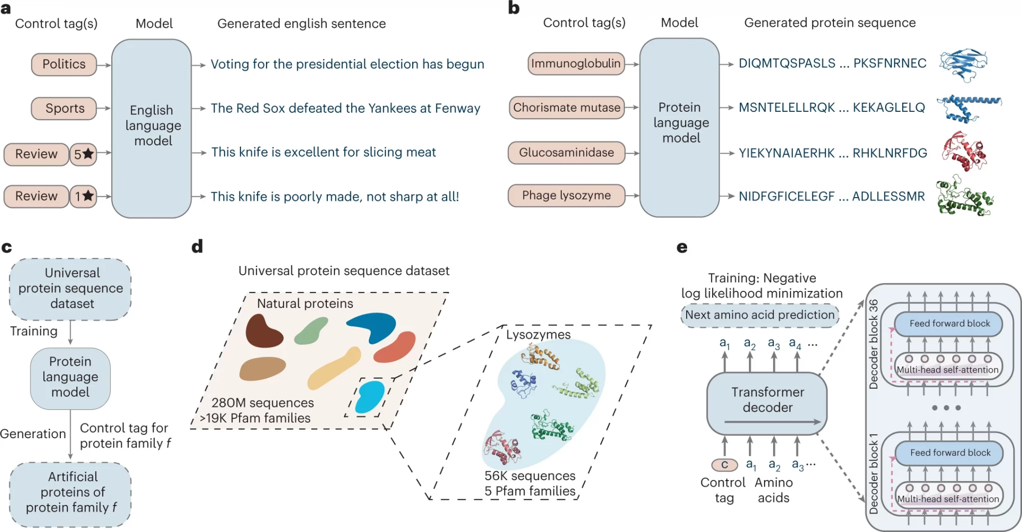 Generazione di proteine artificiali con il modello ProGen - Credits: Nature Biotechnology