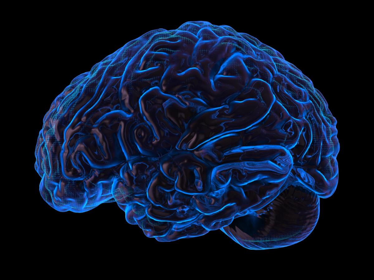 Emorragia intracerebrale: nuova terapia con proteina CDNF - 