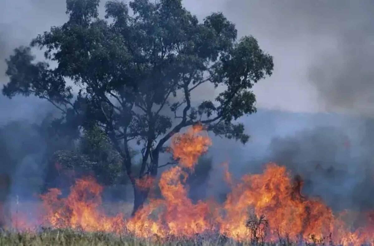 Gli incendi hanno allargato il buco nell'ozono: cosa e perché succede? - 