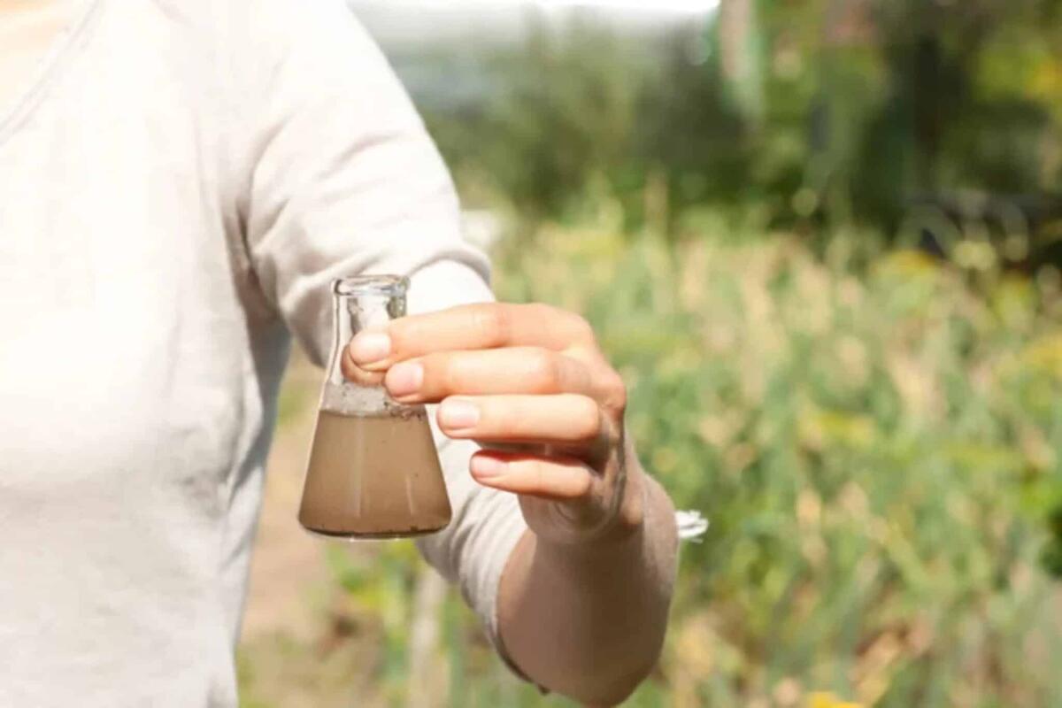 PFAS: cosa sono, a cosa servono e perché sono pericolosi? - 