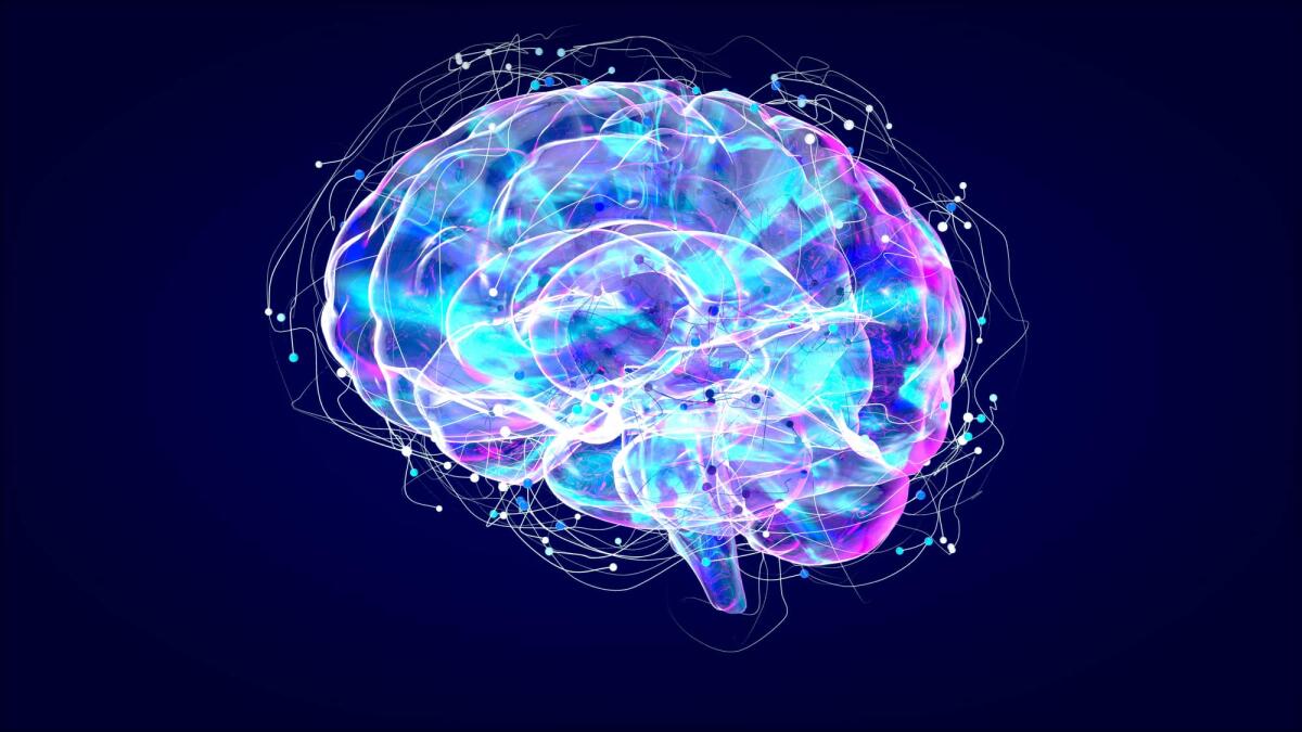 fMRI (risonanza magnetica funzionale): cos'è e funzionamento - 