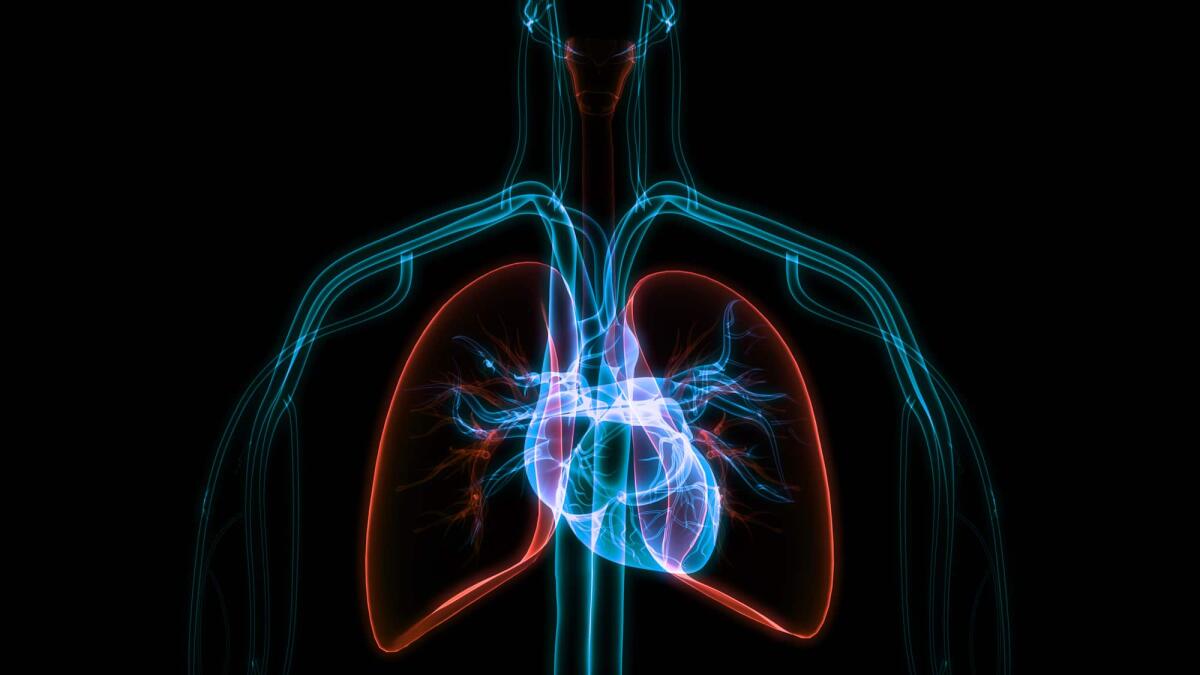 Fibrillazione atriale: nuova chirurgia con impulsi elettrici - fibrillazione atriale