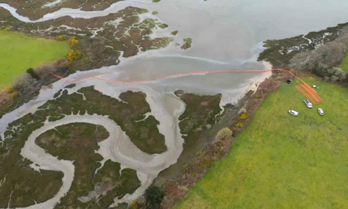 Grave incidente petrolifero: sversati 200 barili nel porto di Poole - 