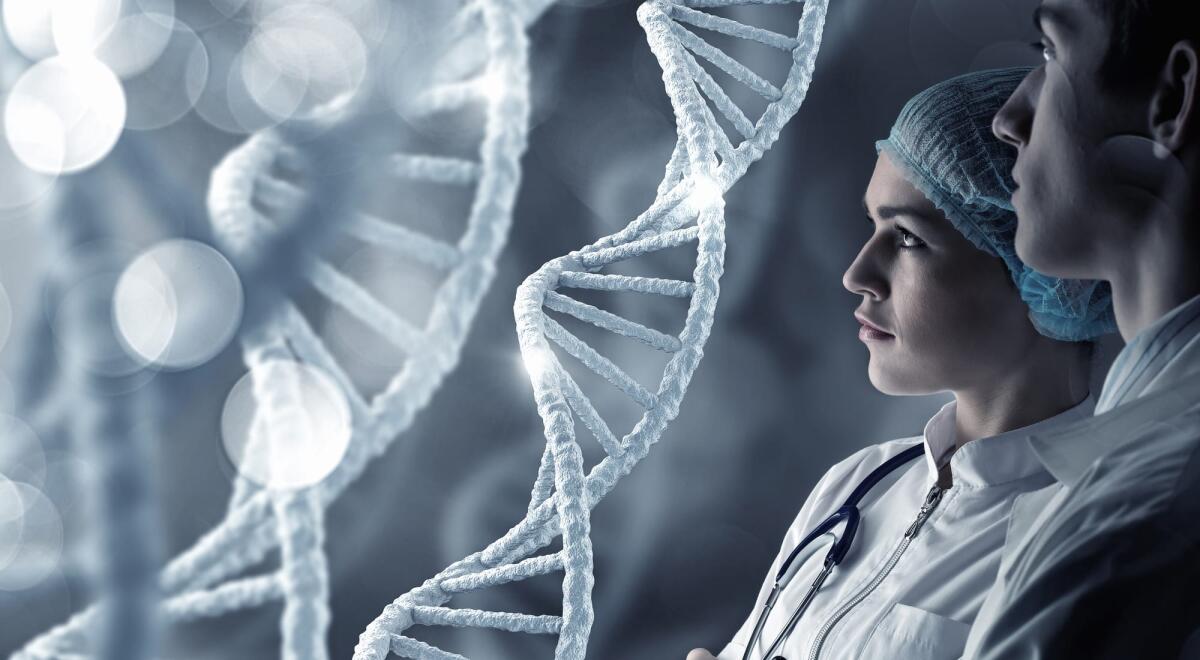 Scoperto il segreto della longevità? La ricerca arriva dagli USA - Young scientists making dna research in clinical laboratory