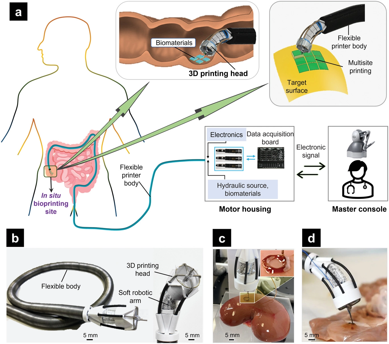 Sistema flessibile di biostampante 3D - Credits: Advanced Science