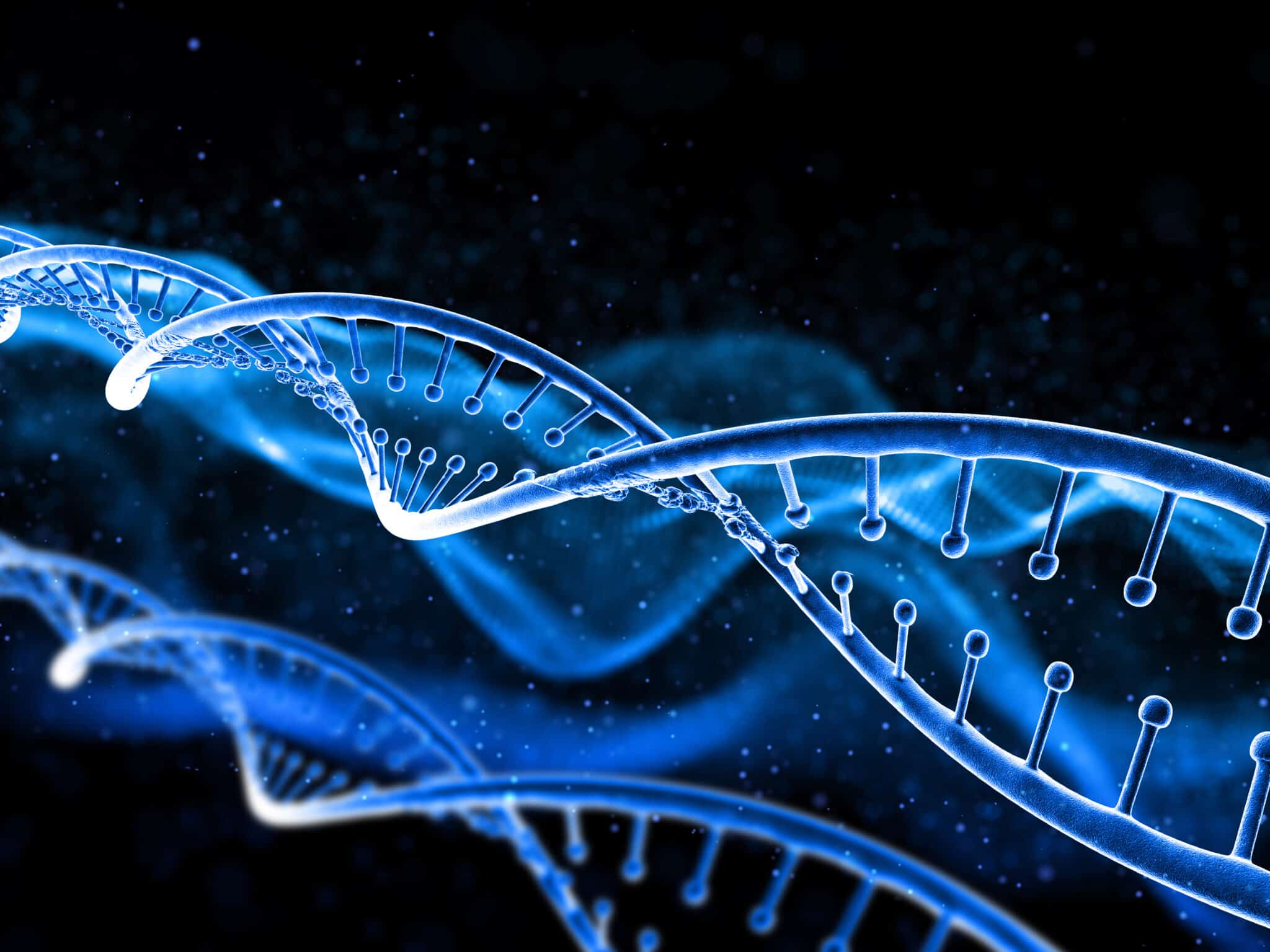 Il genoma è l'insieme dei cromosomi contenuti in una cellula.