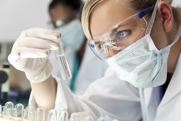 Squadra di ricerca scientifica