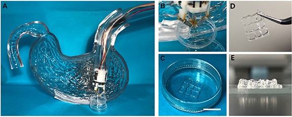 Apparecchiatura con ago robotico utilizzata per il Bioprinting 3D - Credits: Biofabrication