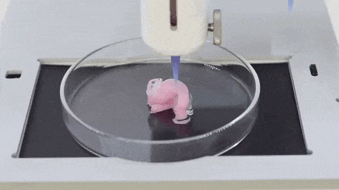 Bioprinting 3D - Credits: Tenor
