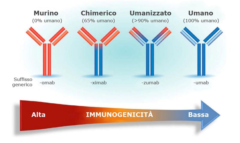 Diverse tipologie di anticorpi monoclonali - Credits: infomedics