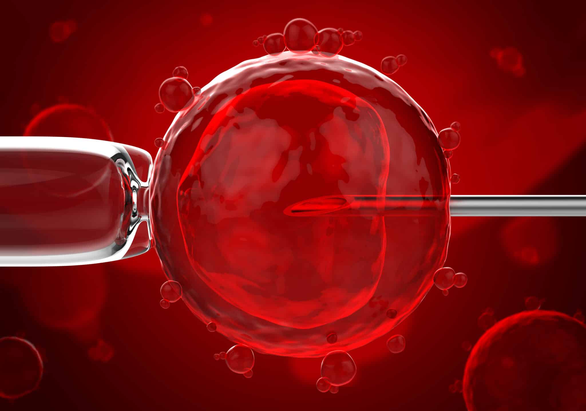 3d version of artificial insemination (cell under the microscope)