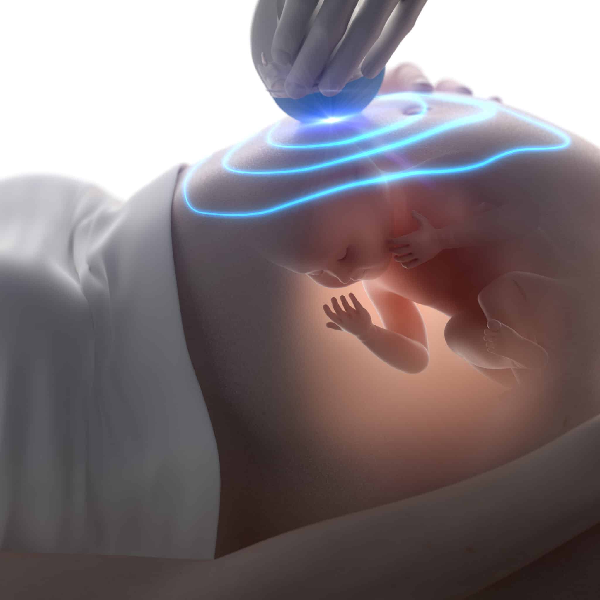 ologramma 3d embrionale