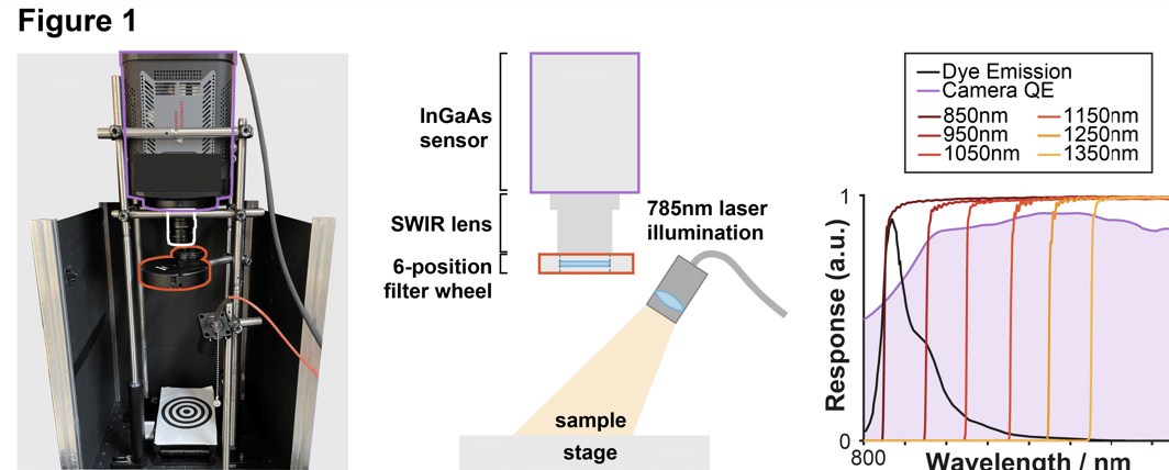 Dispositivo di imaging multispettrale in fluorescenza NIR-I/SWIR - Credits: Cancer Research