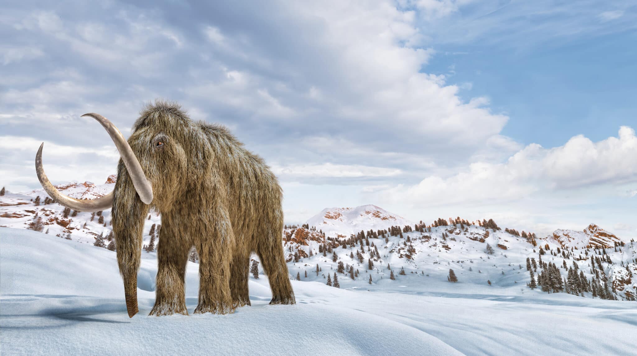 polpette di mammut