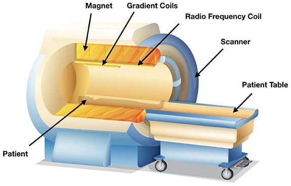 Le scansioni MRI e fMRI avvengono all'interno dello stessa stessa apparecchiatura MRI - Credits: Frontiers for Young Minds
