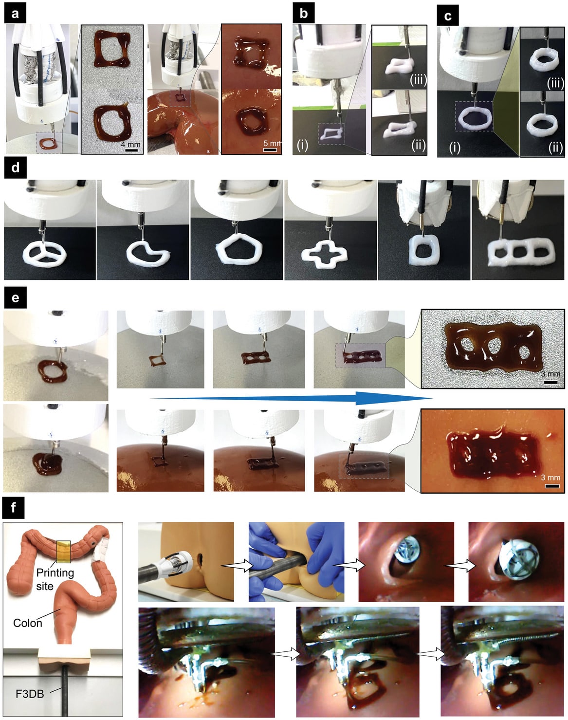 Prestazioni di stampa della F3DB con diversi materiali e forme su varie superfici. a) Stampa di cioccolato liquido con forme rettangolari e circolari. b, c) Stampa 3D di gel composito a base di polimeri cationici, siliconi, alcol e olio d'oliva su una sup