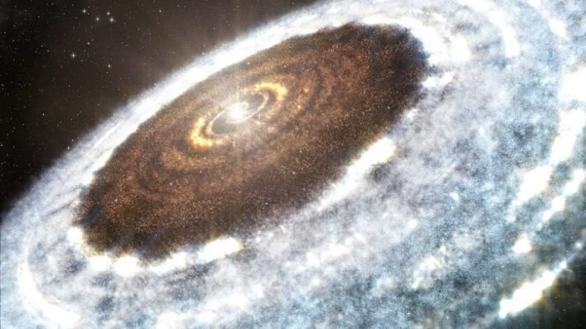 Illustrazione del disco di formazione attorno alla giovane stella V883 Orionis. Credit: A. Angelich (NRAO/AUI/NSF)/ ALMA/ ESO .