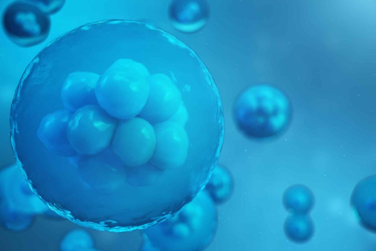 Realizzato il primo microscopio che visualizza l'embrione in tempo reale - 3D Rendering human or animal cells on blue background. Concept Early stage embryo Medicine scientific concept, Stem cell research and treatment