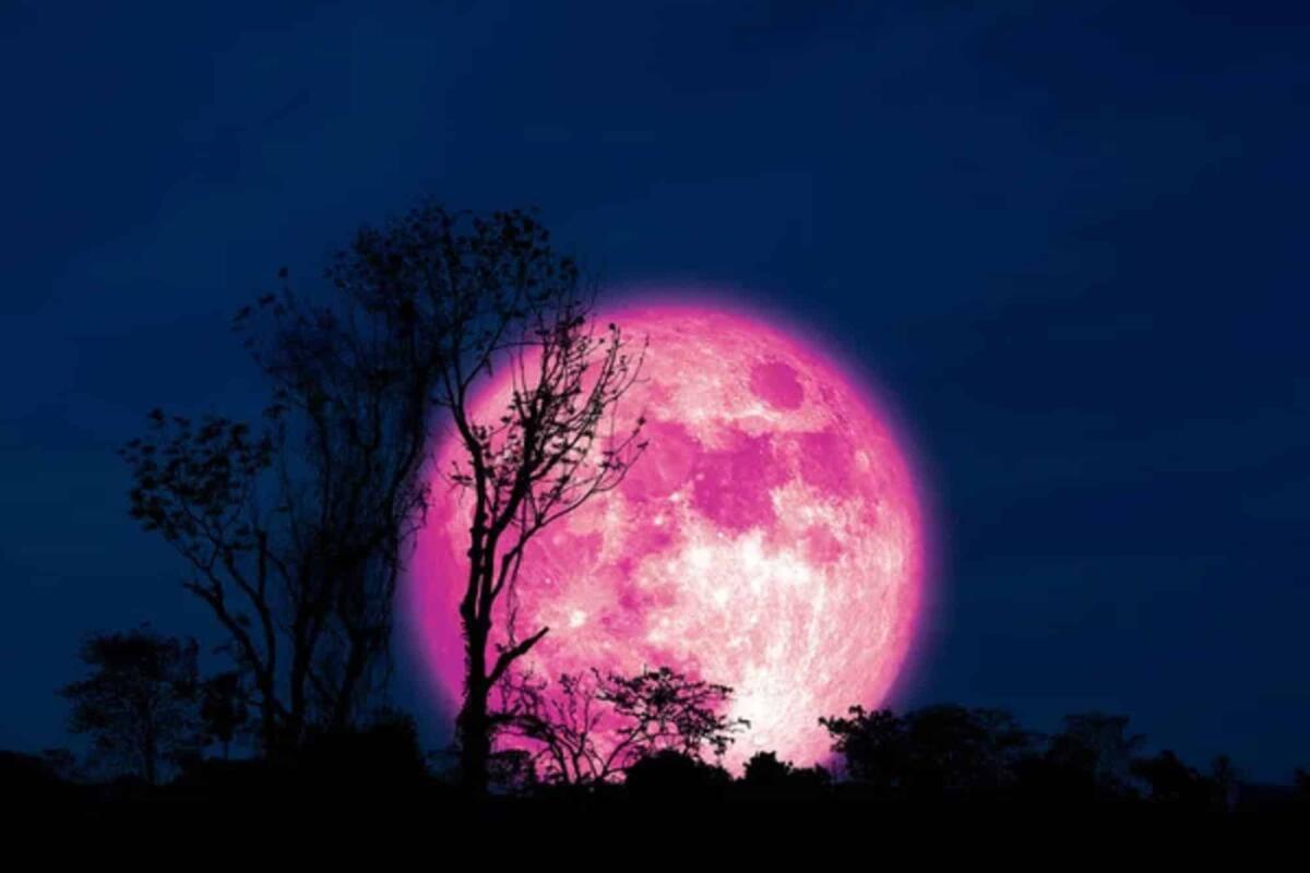 Luna Rosa, è in arrivo il primo plenilunio della primavera 2023 - 